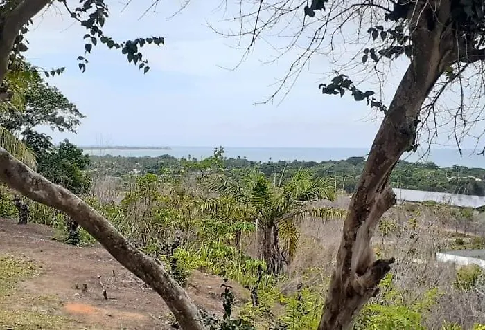 P&M\'S Porto Seguro Taperapuan